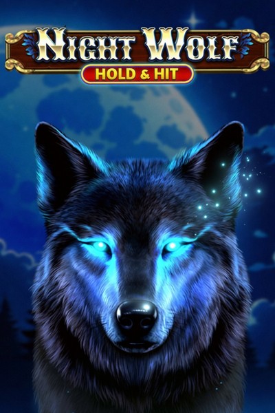 Slot Night Wolf - Hold & Hit su Casinova Casino